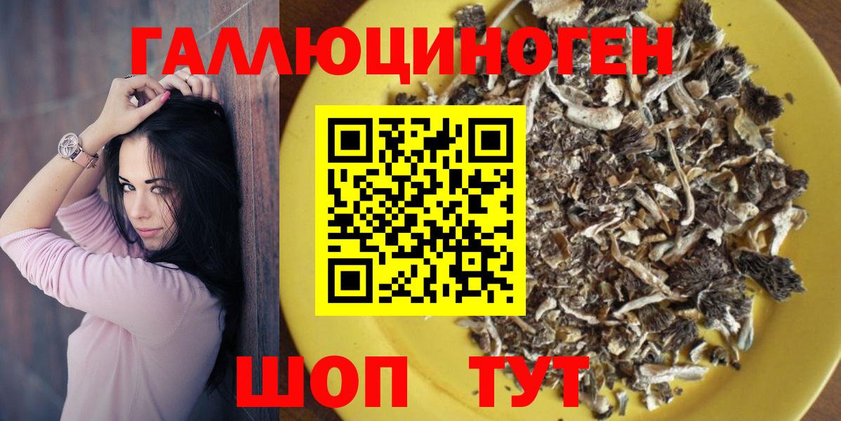 Галлюциногенные грибы Cubensis  Вход с VPN  Выборг 