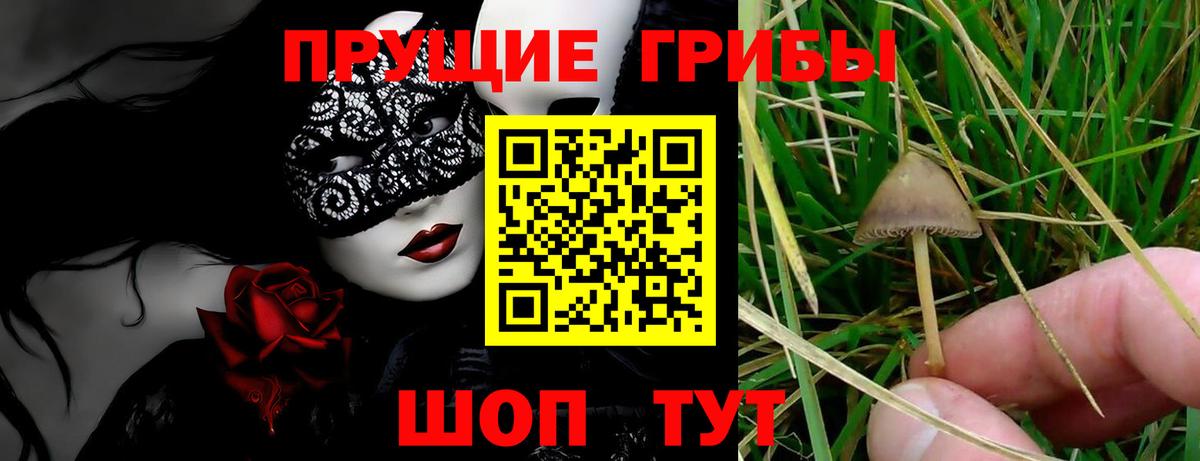 Галлюциногенные грибы ЛСД Выборг